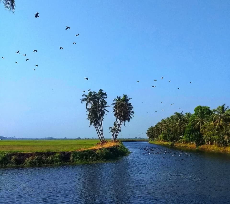 Scenic riverfront view and water reflections at Terrabithia Thrissur